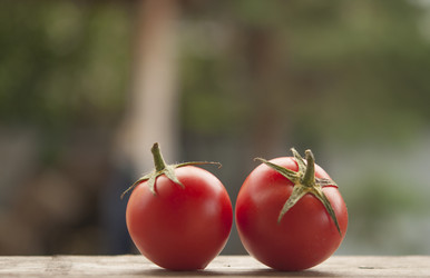 Similar image 21219564