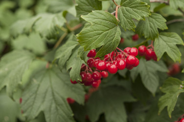 Similar image 21219568