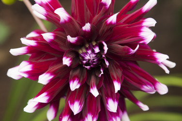 Similar image 21219569