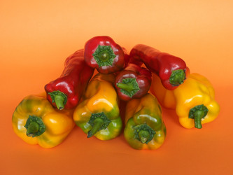 Similar image 21218627