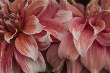 Similar image 21213279