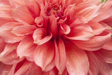 Similar image 21213280