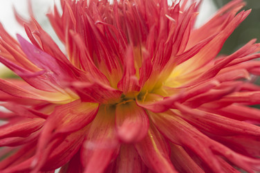 Similar image 21213281