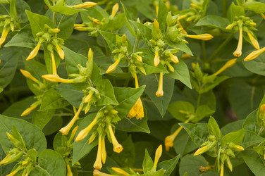 Similar image 21213283