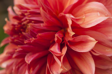 Similar image 21213284