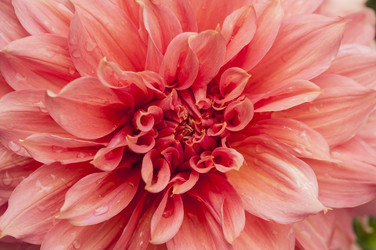 Similar image 21213285