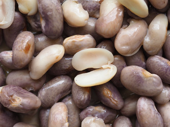 Similar image 21247646