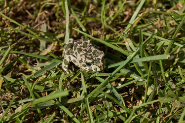 Similar image 21215760