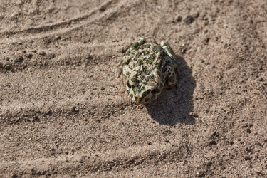 Similar image 21215761