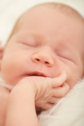 Similar image 21229468