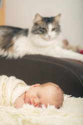 Similar image 21245713