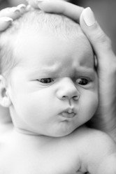 Similar image 21247319