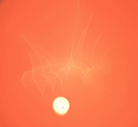 Similar image 21228835