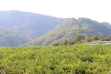 Similar image 21249575