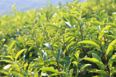 Similar image 21249576