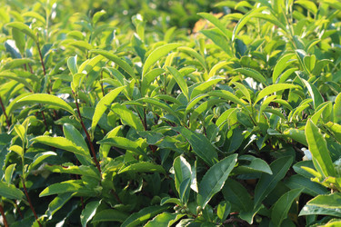 Similar image 21249577