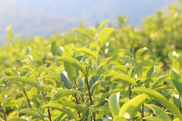 Similar image 21249578