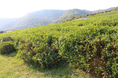 Similar image 21249579