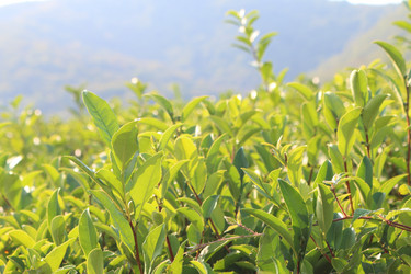 Similar image 21249503