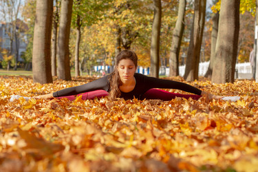 Similar image 21245908