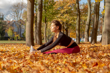 Similar image 21245910