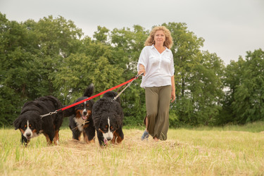 Similar image 21247386