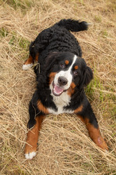 Similar image 21247388