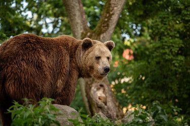 Similar image 21249719