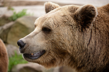 Similar image 21249759