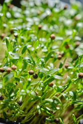 Similar image 21229729