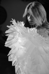 Similar image 21243916