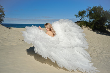 Similar image 21245299