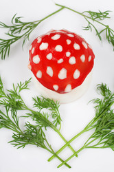 Similar image 21245955