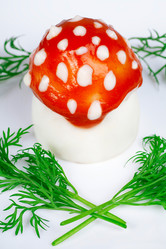 Similar image 21245958