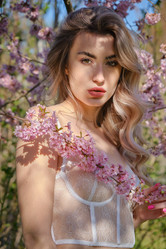 Similar image 21245965