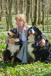 Similar image 21211729