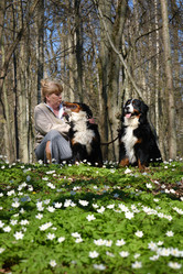 Similar image 21211731