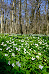 Similar image 21211733