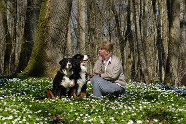 Similar image 21211735