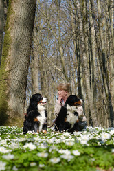 Similar image 21211737