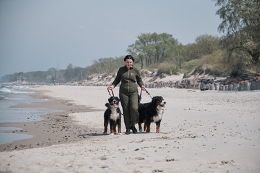 Similar image 21211738