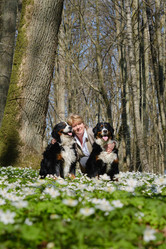 Similar image 21211739