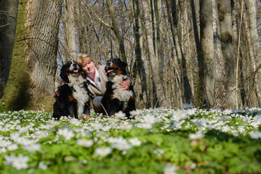 Similar image 21211740