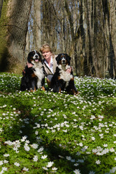 Similar image 21211741