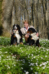 Similar image 21211745