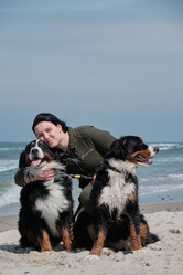 Similar image 21211925