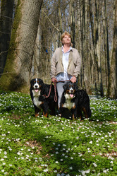 Similar image 21211926