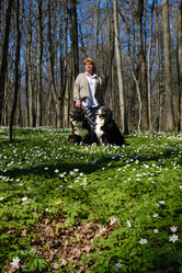 Similar image 21211964