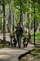 Similar image 21211965