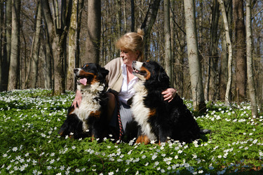 Similar image 21211986